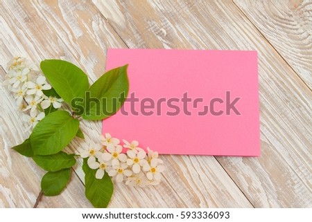 branch of blooming bird-cherry tree. Pink greeting card, blank on shaby wooden background.