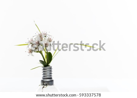 conceptual macro photo for alternative energy with a light bulb and flowers growing from it. White background and free space for text