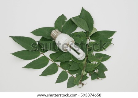 Eco light bulb and green leaf on white background. Earth hour concept. Selective focus.