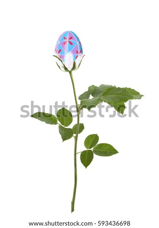 Beautiful Easter egg with ornament in the shape of  flower on awhite background isolated