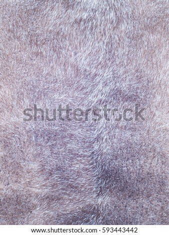 Mink fur texture. Mink coat photographed in the studio