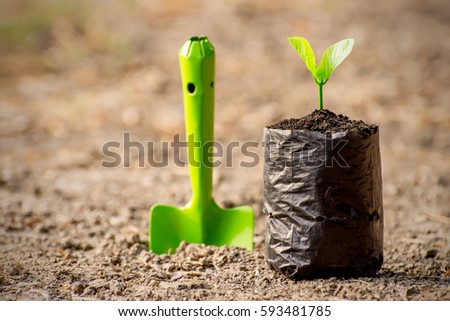 Seedlings are grown in the nursery bag on the ground barren, ecology concept. Royalty-Free Stock Photo #593481785