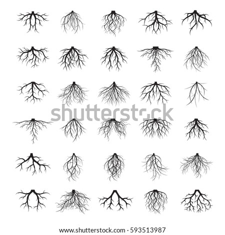 Big Set of black Roots. Vector Illustration. Royalty-Free Stock Photo #593513987