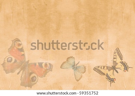 paper texture with butterfly elements