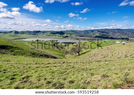 Panoramic view of the Lagoon Valley Park in Vacaville, California, USA, featuring the chaparral in the winter with green grass, and the lake Royalty-Free Stock Photo #593519258