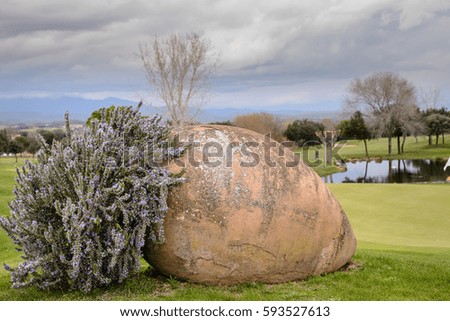 Flowers decoration in a golf course