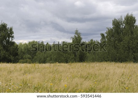 Summer day in the field before the rain, Moscow Area, Russia