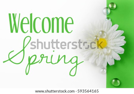 Spring image of silk daisy with faux water droplets. Background is green and white. Welcome spring message added.
