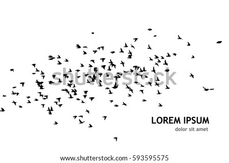 Flock of birds silhouette. Vector Royalty-Free Stock Photo #593595575