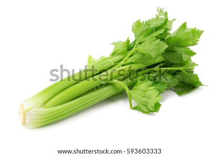 Fresh leaf celery isolated over a white background Royalty-Free Stock Photo #593603333