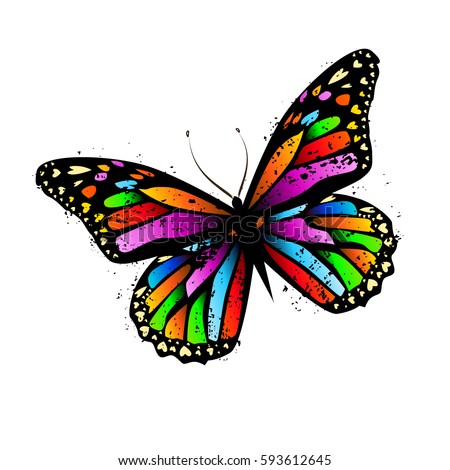 colored butterfly. Vector