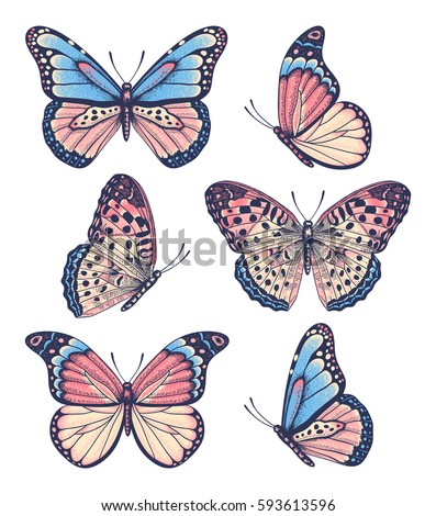 Vector vintage hand drawn set of beautiful colorful butterflies on a white background 