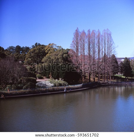 a park in suburb of Osaka city  with many trees and pond using medium format camera
