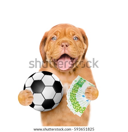 Funny dog holding money and ball in his paws. isolated on white background