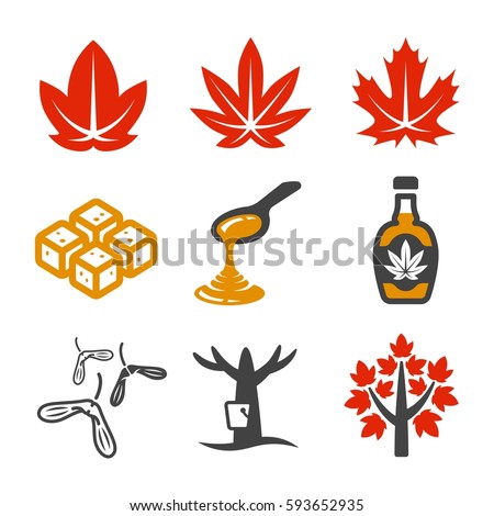 maple and maple syrup icon