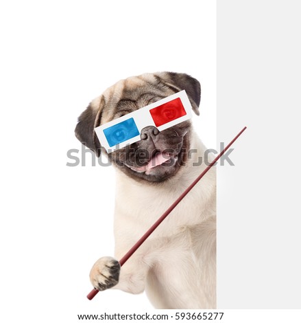 Dog in the 3d glasses holding a pointing stick behind white banner. isolated on white background