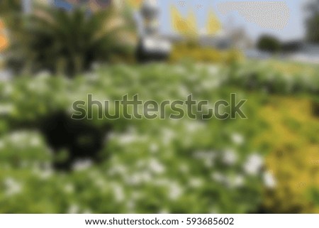 Flowers blur