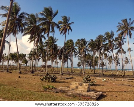 old site of house before swashed away by flood with the scenery of beach in Terenganu, Malaysia surrounded with coconut tree. the picture taken before the sunset