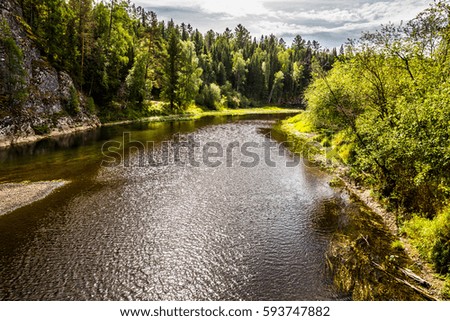 Journey on foot through uncharted roads of a national Park. Summer in the forest. Panorama of the natural landscape. The bend of the river and wild nature of Russia. 