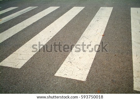  Zebra traffic walk way