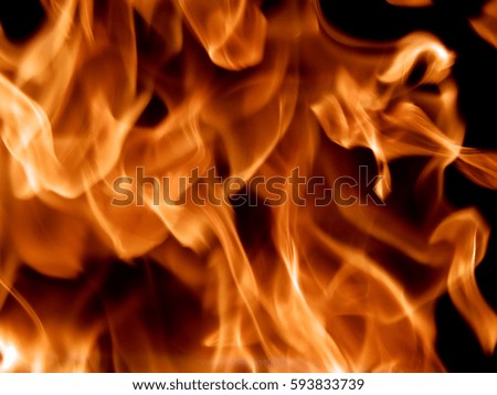 Red fire flames on a black background