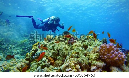 Woman scuba diver and coral reef with fish