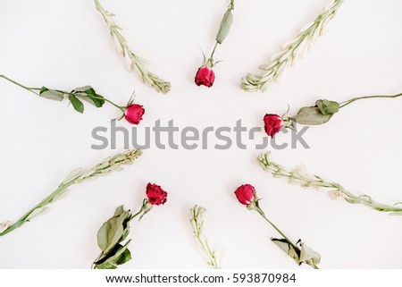 Red roses and white flowers frame on white background. Flat lay, top view.
