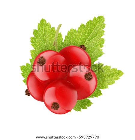 red currant with leaf isolated on a white background