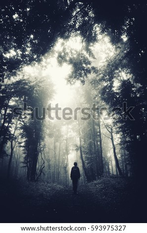 man silhouette on dark forest road, surreal fantasy woods landscape with soft light in mist