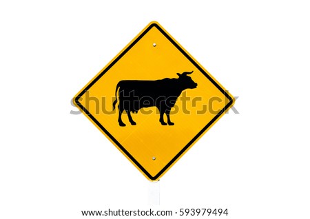 Animal or cow traffic sign isolate on white background. Transportation concept.