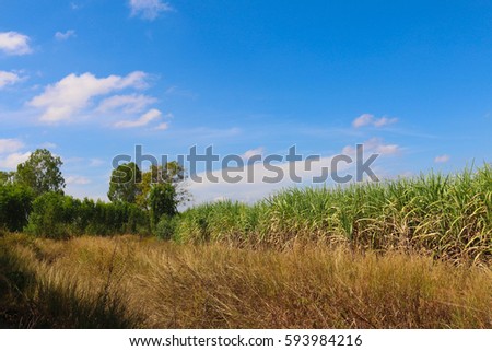  landscape with blue sky
