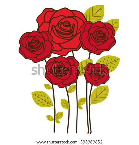 colorful silhouette with bouquet of rose flowers vector illustration