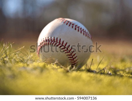 Close-Up of Baseball in Field