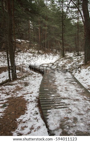 Walkway in pine forest in winter covered with snow. Dark trunks of pine trees contrast the melting white March snow. Passage covered with ice and footprints is not safe. Vertical alignment of image.