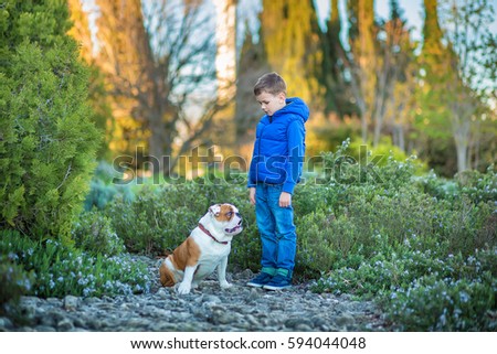 Handsome teenager boy with friend puppy english bull dog walking in nature park zone.Red white american bully with child in blue jacket jeans and hoody in forest happy together with big friendship.