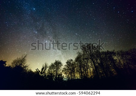 Starry night with part of Milky Way over a forest