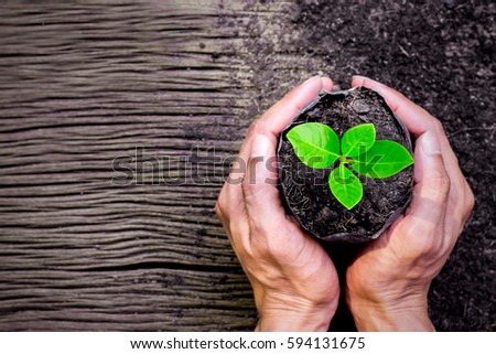 Two hands of men was carrying a bag nursery placed on the old wooden floor. Royalty-Free Stock Photo #594131675