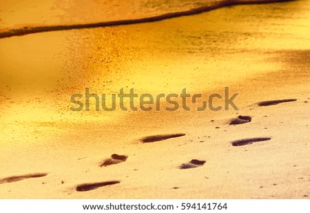 Footprints in sand at rays of sun