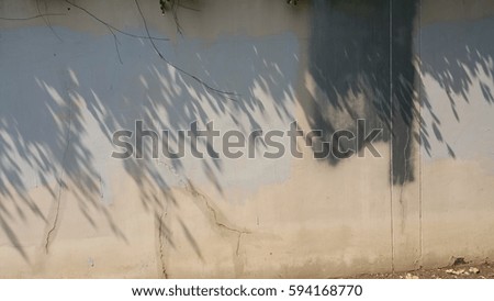 shadow trees along the wall