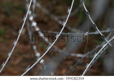 A close up of protective coils of sharp barbed razor wire fencing. Selected focus - depth of field