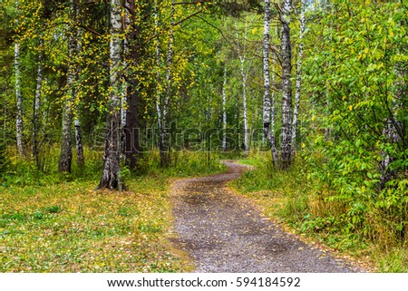 Vacation in Russia. Journey on foot through uncharted roads of a national Park. Summer in the forest. Wild nature of Russia.