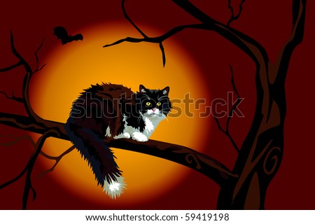 Halloween realistic calico black and white cat on a large branch up a tree looking at you. Scary.