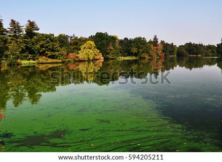 An european pond covered a lot of cyanobacteria,green biofilm grows on the water Royalty-Free Stock Photo #594205211