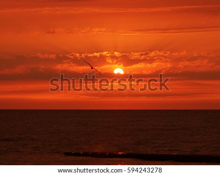 Red summer sunset and evening nature background.