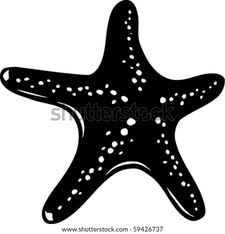 Starfish Vector Illustration