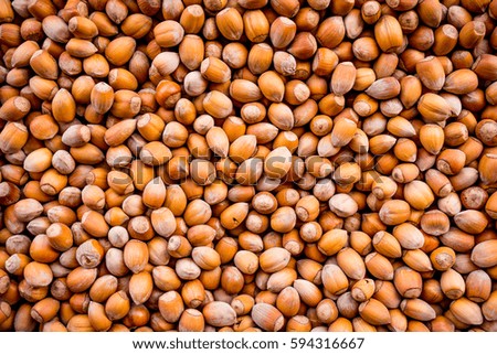 Nuts. nuts background pattern. Texture
