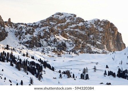 Trees in snowy mountain landscape
