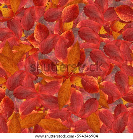 Autumn seamless background with bright red leaves of hawthorn