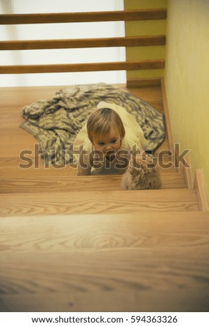 Little girl with blond hair in the white dress playing with a brown cat in the stairs