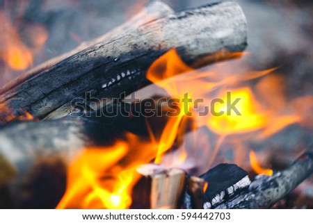 fire on sticks in the fire a cloudy spring day, camping Royalty-Free Stock Photo #594442703